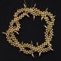 crown_of_thorns9