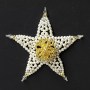 star_of_mary